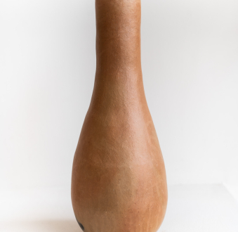Mixe Natural Clay Vase | Long Neck